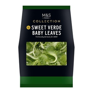 Collection Sweet Verde Baby Leaves