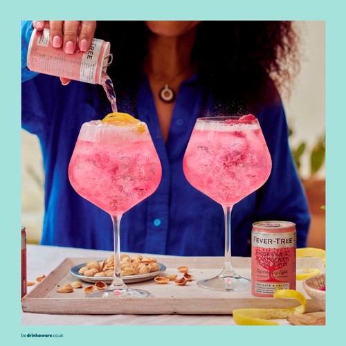 Fever-Tree Light Rhubarb & Raspberry Tonic Cans