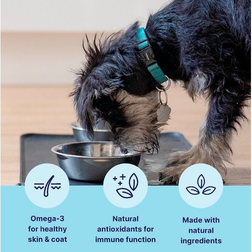 Tails.com Inner Vitality Adult Dog Wet Food Chicken