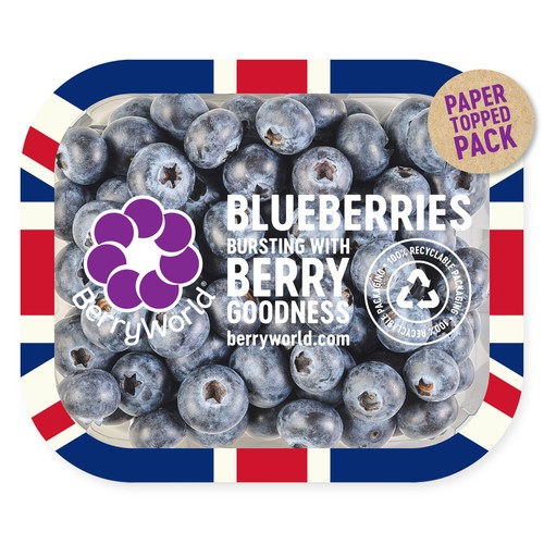 BerryWorld Blueberries
