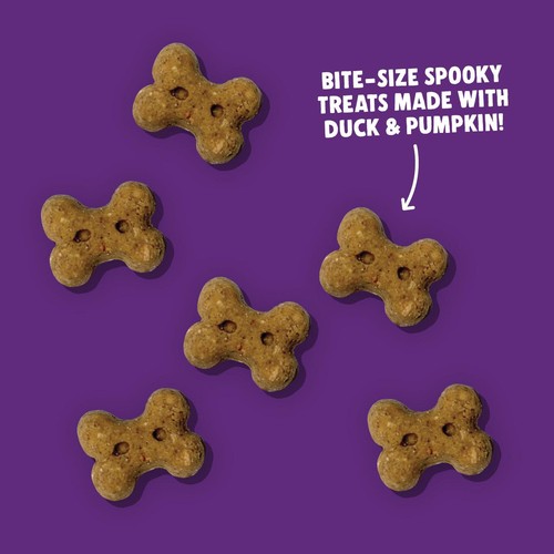 Denzel's Spooky Bones - Duck & Pumpkin Dog Treats
