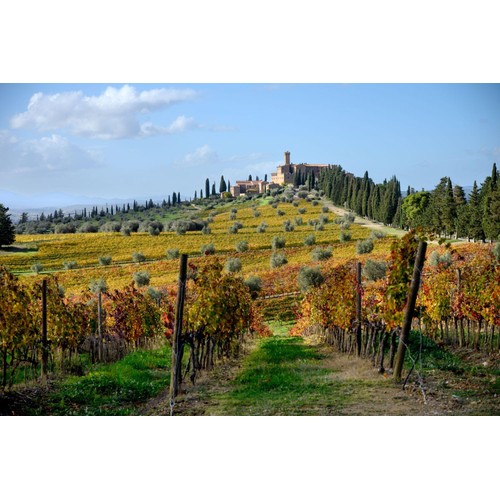 Banfi Chianti Classico DOCG