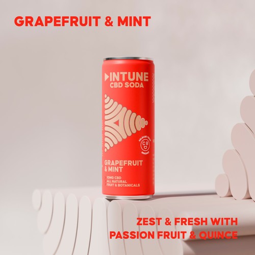 INTUNE Grapefruit & Mint Sparkling CBD Drink