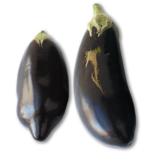 Wholegood Organic Wonky Aubergine