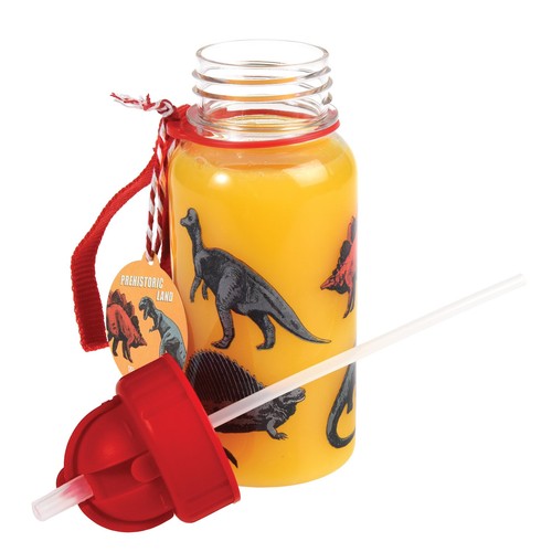 Rex London Prehistoric Land Water Bottle with Straw 500ml