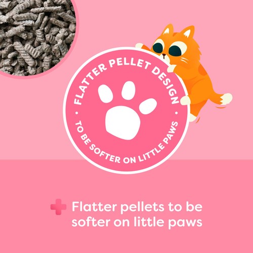 Breeders Choice Pro Biotic Kitten Paper Cat Litter