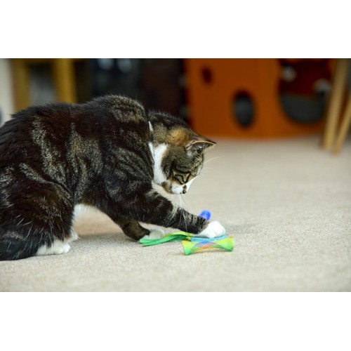 Catkins Springy Cat Toys Ocado