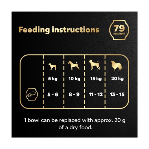 Cesar Fresh Bowl Adult Wet Dog Food Chicken & Poultry in Gravy