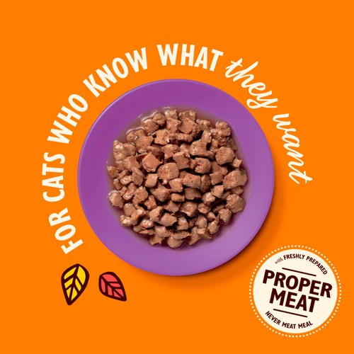 Lily's Kitchen Chicken & Fish Tasty Cuts in Gravy for Mature Cats