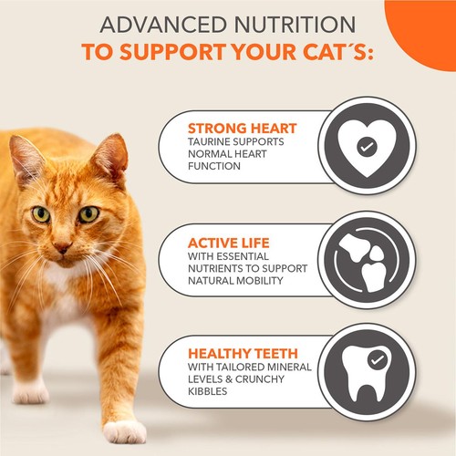 IAMS 7+ Senior Dry Cat Food Tuna