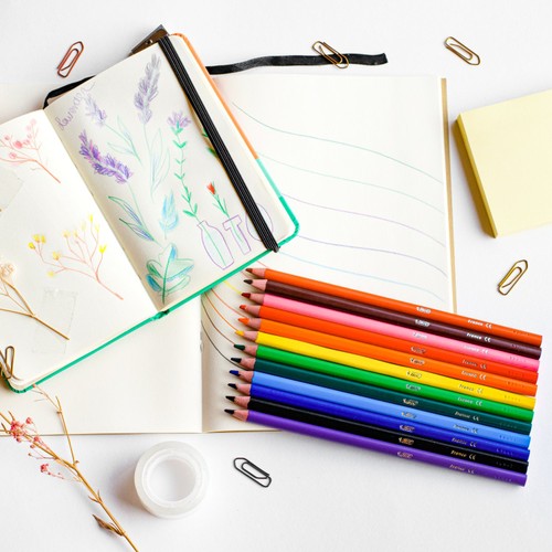 BIC Intensity Colouring Pencils, Wallet of 24