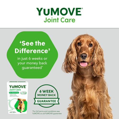 YuMOVE Dog Triple Action Joint Supplement