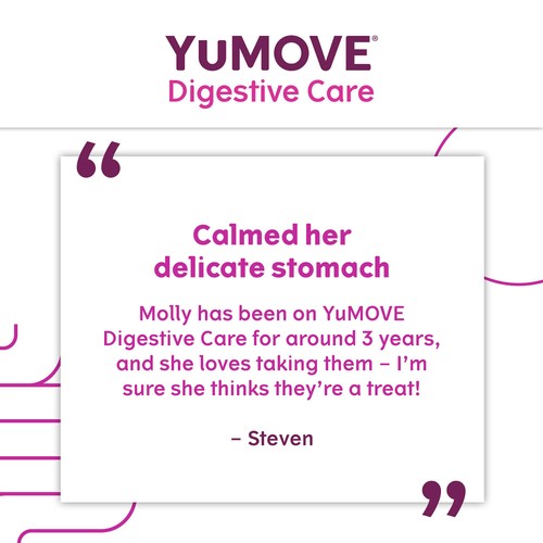 YuMOVE Dog Digestive Health Probiotics Supplement