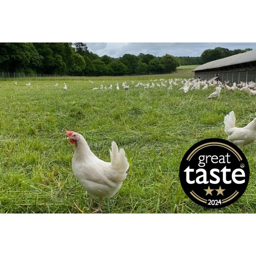 Packington Free Range White Eggs