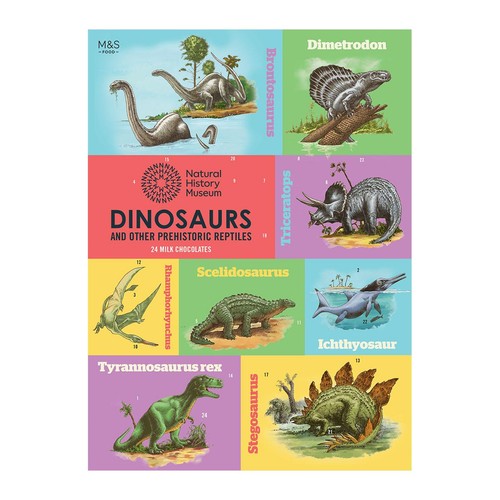 M&S Natural History Museum Advent Calendar
