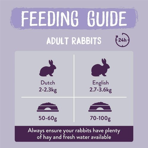 Burgess Excel Indoor Rabbit Nuggets