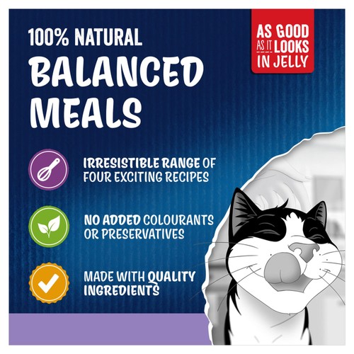 Felix As Good As it Looks Kitten Mixed in Jelly Wet Cat Food