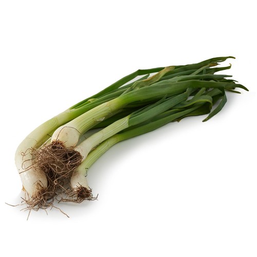 Natoora British Organic Spring Onions