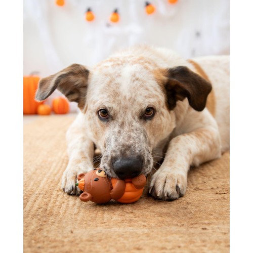 Spirit & Spook Bree Autumn Bear