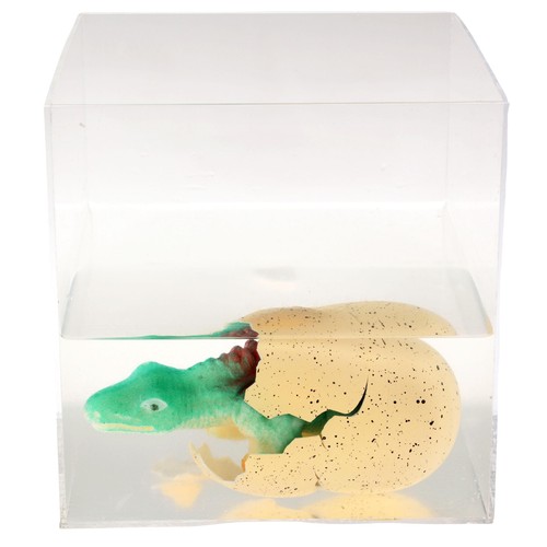Giant Hatching Dinosaur Egg Prehistoric Land