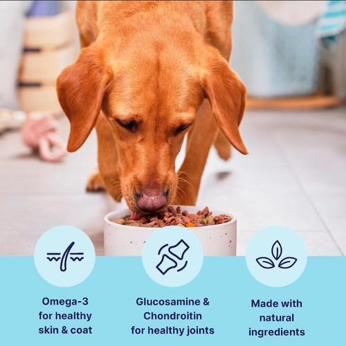 Tails.com Inner Vitality Mature Dog Wet Food Chicken
