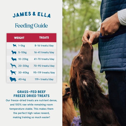 James & Ella Dog Treats - Beef