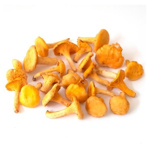 Natoora Wild Girolles Mushrooms