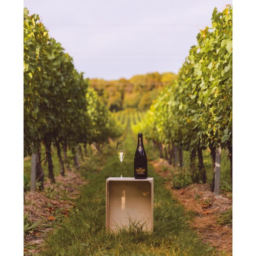 Chapel Down Kits Coty Blanc de Blancs
