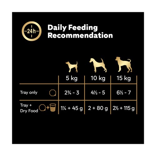 Cesar Country Stew Adult Wet Dog Food Trays Special Selection 