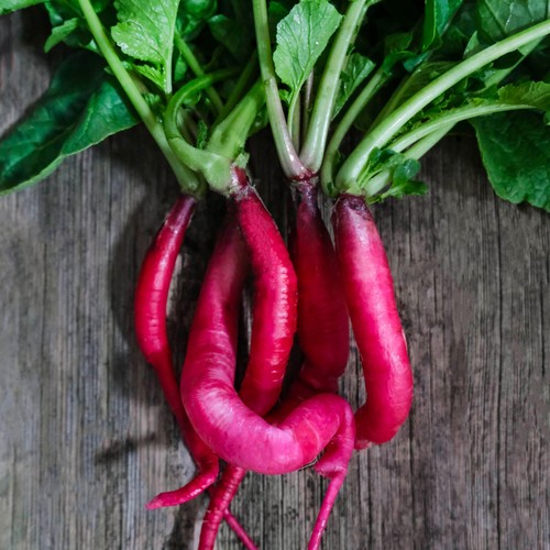 She Grows Veg Spring Radish Fire Candle Seeds