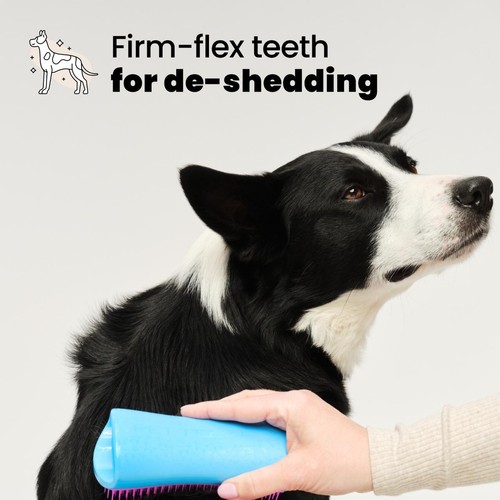 Pet Teezer De-shedding Dog Grooming Brush - Blue / Pink