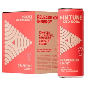 INTUNE Grapefruit & Mint Sparkling CBD Drink