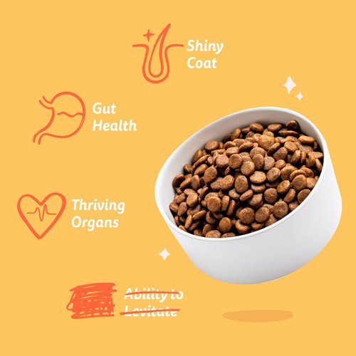 Edgard & Cooper Adult Gluten Free Fresh Chicken Small Kibble