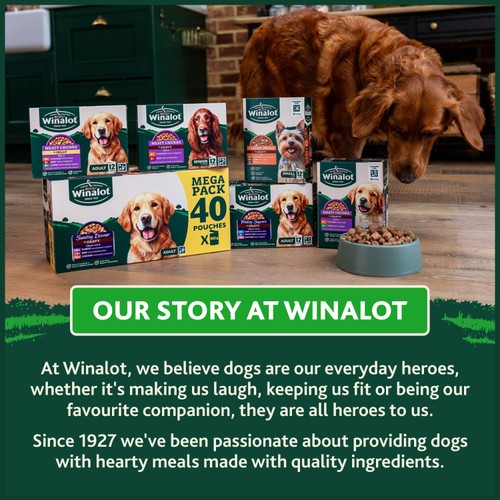 Winalot Monday Meaty Casseroles Chicken, Turkey, Duck in Gravy Wet Dog Food