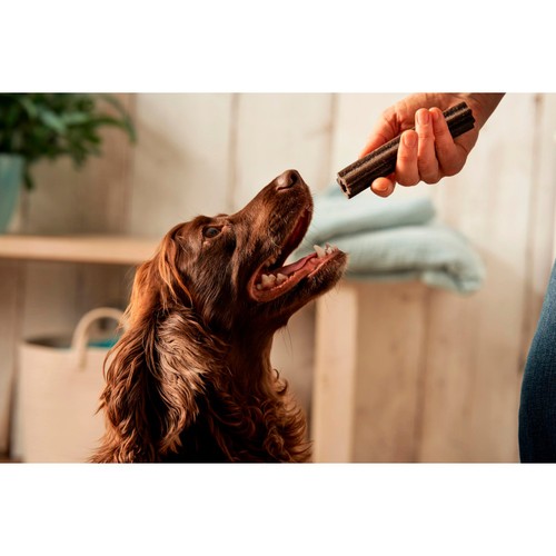 Forthglade natural Calming dental sticks 185g (5 sticks)