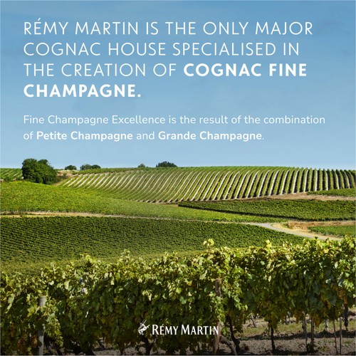 Remy Martin VSOP Cognac Fine Champagne
