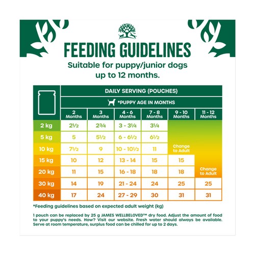 James Wellbeloved Grain Free Puppy Wet Dog Food Turkey in Gravy Pouch