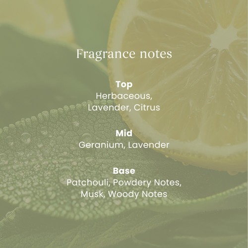 Yankee Candle Sage & Citrus Signature Medium Jar Candle