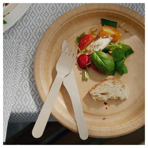 Kraft Brown Paper Plates