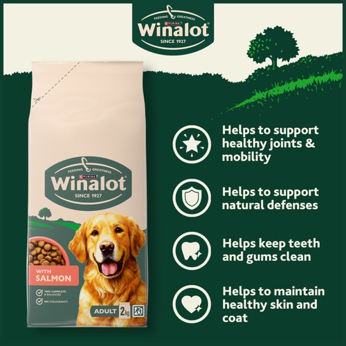 Winalot Adult Salmon Dry Dog Food