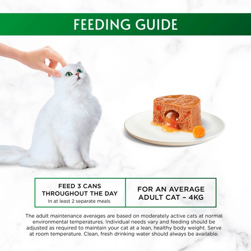 Gourmet Nature's Creations Gravy Heart Chicken Wet Cat Food