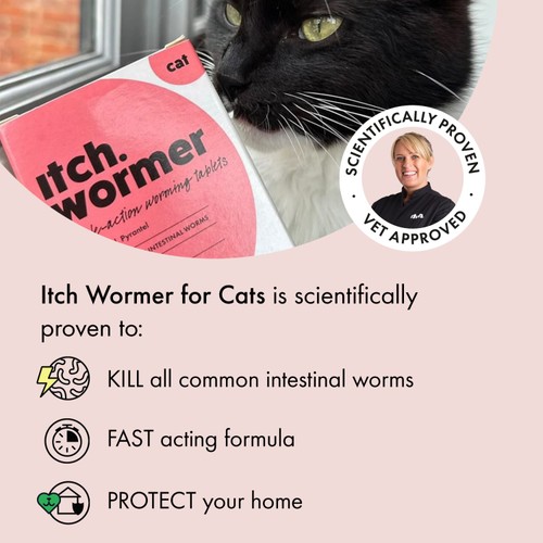 Itch Wormer Tablet Treatment For Cats (1kg +)