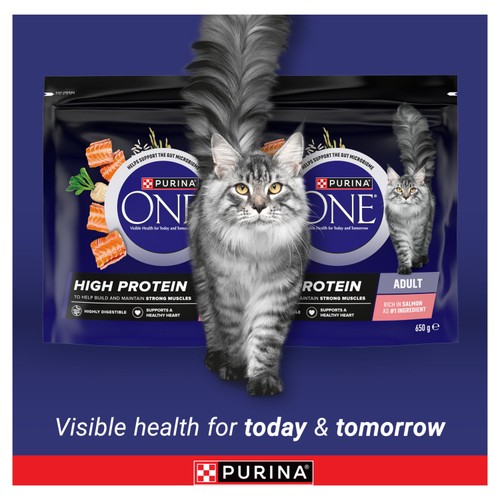 Purina One High Protein Salmon Dry Cat Food