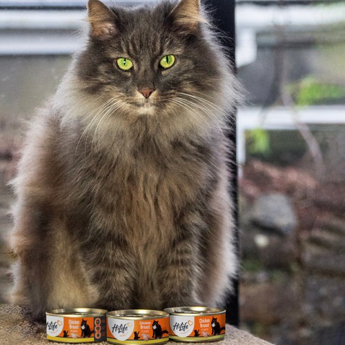 HiLife It's Only Natural Luxury Cat Food - Chicken Breast in Sauce