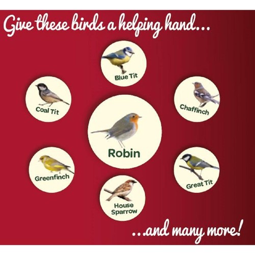 Peckish Robin Bird Seed and Insect Mix