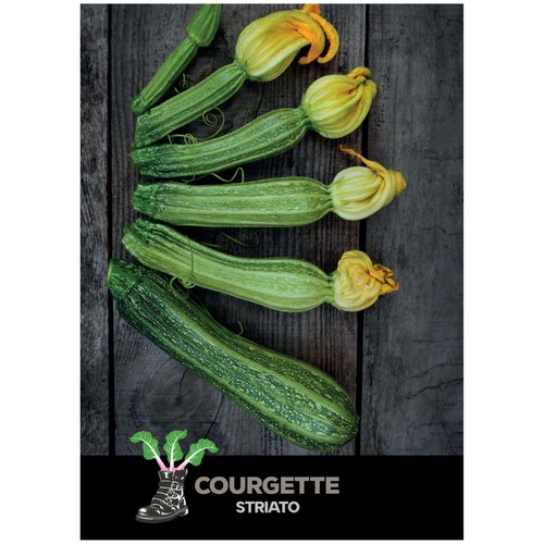 She Grows Veg Courgette Striato Seeds