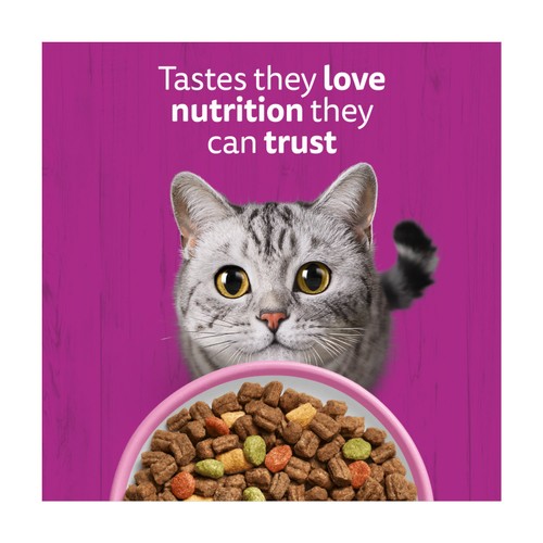 Whiskas 1+ Adult Dry Cat Food with Salmon