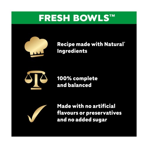 Cesar Fresh Bowl Adult Wet Dog Food Chicken & Poultry in Gravy