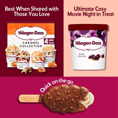 Haagen-Dazs Rum and Raisin Ice Cream