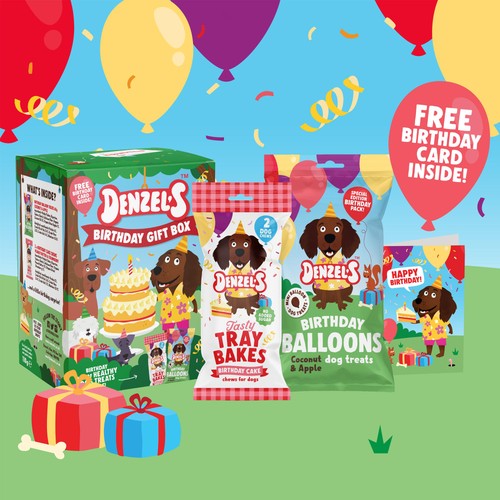 Denzel's Birthday Gift Box of Dog Treats